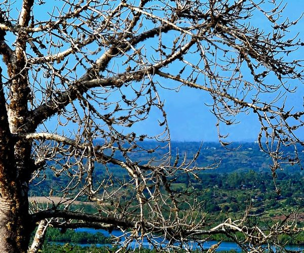 Baobabs offer one of be best foregrounds to most of the scenes you will enjoy!